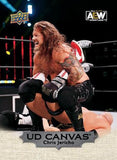 2022 Upper Deck AEW Hobby, Box
