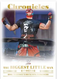 2023 Panini Chronicles WWE Hobby, 12 Box Case