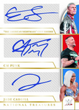 2024 Panini National Treasures WWE Hobby, Box