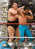 2017 Topps WWE Legends Hobby, Box