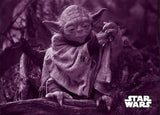 2019 Topps Star Wars The Empire Strikes Back: Black & White Hobby, Box
