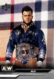 2024 Upper Deck AEW Wrestling Hobby, Box