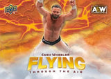 2024 Upper Deck AEW Wrestling Hobby, Box