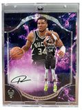 2025-26 Fanatics Under Wraps Emanate NBA, Box