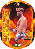 2025 Upper Deck AEW Skybox Metal Universe Wrestling Hobby, 16 Box Case