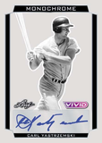 2025 Leaf Vivid Baseball Jumbo, Box *RELEASES 11/5*