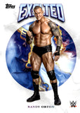 2025 Randy Orton Topps Exalted #70 SMACKDOWN