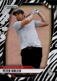 2025 Peter Uihlein Panini Prizm LIV Golf ZEBRA SSP #53 RANGEGOATS GC
