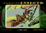 2022 Fire Ant Patch Relic Upper Deck Goodwin Champions #IP-88 INTERESTING INSECTS PATCH RELIC