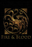 2024 Fire & Blood Symbol Rittenhouse Game of Thrones House of the Dragon #CT1