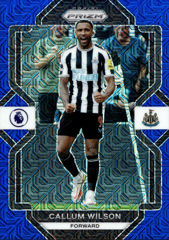 2022-23 Callum Wilson Panini Prizm Premier League BLUE MOJO 17/25 #171 Newcastle United