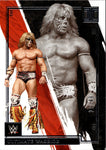 2022 Ultimate Warrior Panini Impeccable WWE SILVER 29/49 #61 WWE Legend