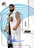 2025 Satnam Singh Upper Deck SP Signature Edition AEW AUTO AUTOGRAPH #85 AEW