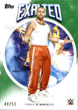 2025 Tony D'Angelo Topps Exalted GREEN 40/50 WWE #58 NXT Champion