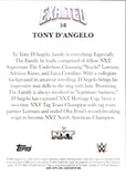 2025 Tony D'Angelo Topps Exalted GREEN 40/50 WWE #58 NXT Champion
