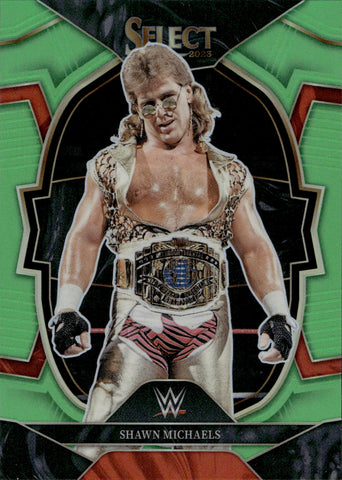 Brock Lesnar WWE Elite Collection Series #99 (Chase Variant