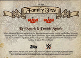 2025 Rey Mysterio & Dominik Mysterio Topps Chrome WWE FAMILY TREE GOLD REFRACTOR 33/50 #FT-MY Monday Night Raw