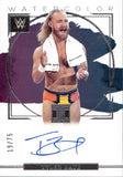 2023 Tyler Bate Panini Impeccable WWE WATERCOLOR AUTO 19/75 AUTOGRAPH #WS-TBT NXT