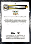 2025 Triple H Topps Chrome WWE GOLD GEOMETRIC REFRACTOR 29/50 #22 WWE Legend