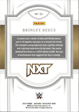 2024 Brinley Reece Panini National Treasures WWE Rookie 14/99 #34 NXT
