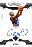 2018-19 Charlie Ward Panini Flawless SILVER AUTO 23/25 AUTOGRAPH #FA-CWD New York Knicks