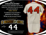 2024 Hank Aaron Leaf In The Game Used RED FOIL A NUMBERS GAME JERSEY 3/4 RELIC #ANG-17 Atlanta Braves HOF