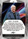 2024 Ric Flair Leaf Metal Legends DIAGONAL LIGHT BLUE SHIMMER 5/8 #38 WWE Legend