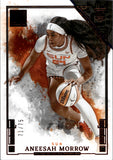 2025 Aneesah Morrow Panini Impeccable WNBA BRONZE ROOKIE 71/75 #100 Connecticut Sun