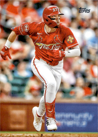 2025 Michael Siani Topps Series 1 TRUE PHOTO #289 St. Louis Cardinals