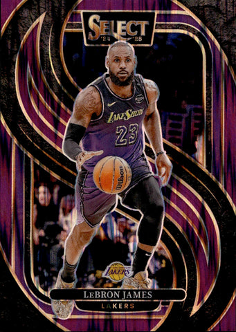 2024-25 LeBron James Panini Select PURPLE FLASH PREMIER LEVEL 172/249 #111 Los Angeles Lakers