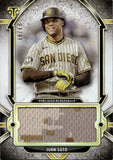 2024 Juan Soto Topps Triple Threads JUMBO JERSEY 48/48 RELIC #SJR-JS San Diego Padres