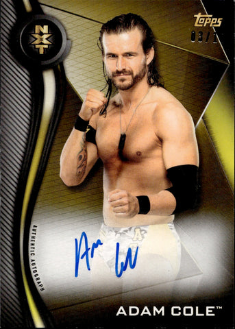 2019 Adam Cole Topps GOLD AUTO 03/10 AUTOGRAPH #A-AC NXT
