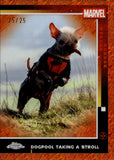 2025 Dogpool Taking a Stroll Topps Chrome Deadpool ORANGE SHIMMER REFRACTOR 25/25 #73 Marvel