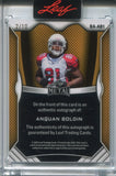 2025 Anquan Boldin Autograph Authentics SILVER 02/10 AUTO #BA-AB1 Arizona Cardinals
