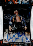 2025 Diamond Dallas Page Topps Exalted WWE ELEVATED INK AUTO AUTOGRAPH #NA WWE HOF