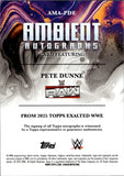 2025 Pete Dunne Topps Exalted WWE AMBIENT AUTO AUTOGRAPH #AMA-PDE Monday Night Raw
