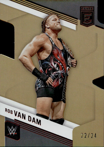 2023 Rob Van Dam Donruss Elite ASPIRATIONS DIE CUT 22/24 #121 WWE HOF