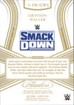 2024 Grayson Waller Panini Flawless JUMBO MEMORABILIA AMETHYST PATCH 4/8 #JM-GWL