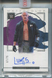 2023 Dextrer Lumis Panini Impeccable WWE WATERCOLOR AUTO 67/75 AUTOGRAPH #WS-DXL Monday Night Raw