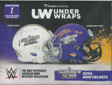 2026 Fanatics WWE Under Wraps Summer Slam Autographed Mini Helmet, Box