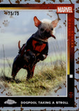 2025 Dogpool Taking a Stroll Topps Chrome Deadpool DOGPOOL REFRACTOR 75/75 #73 Marvel