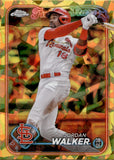 2024 Jordan Walker Topps Chrome Sapphire FURTURE STARS GOLD 14/50 #642 St. Louis Cardinals