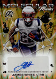 2025 James White Topps Resurgence MOLECULAR MARKS GOLD AUTOGRAPH 1/50 AUTO #MM-JW New England Patriots