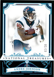 2025 Andre Johnson Panini National Treasures MIDNIGHT 2/20 #42 Houston Texans