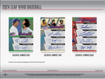 2024 Leaf Vivid Baseball Hobby, 10 Box Case