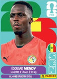 2026 Panini World Cup Soccer Stickers 25ct, 30 Box Case