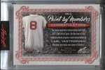 2021 Carl Yastrzemski Leaf Art of Sport PAINT BY NUMBERS TRIPLE BAT 05/25 RELIC #PBN-02 Boston Red Sox HOF