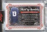2021 Steve Nash Leaf Art of Sport PAINT BY NUMBERS TRIPLE JERSEY 11/35 RELIC #PBN-32 Dallas Mavericks HOF